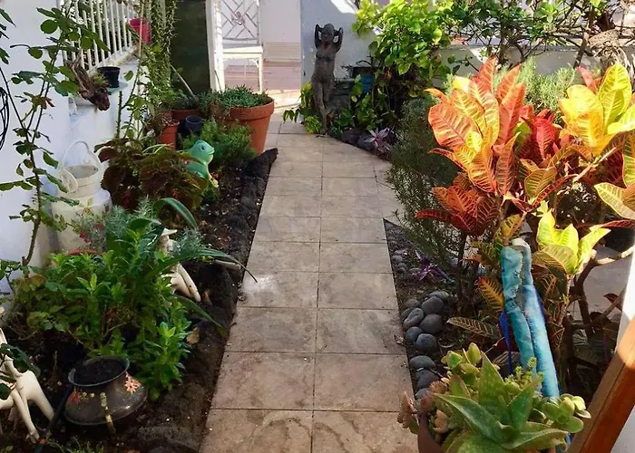 Tegueste Cute * أذيخي